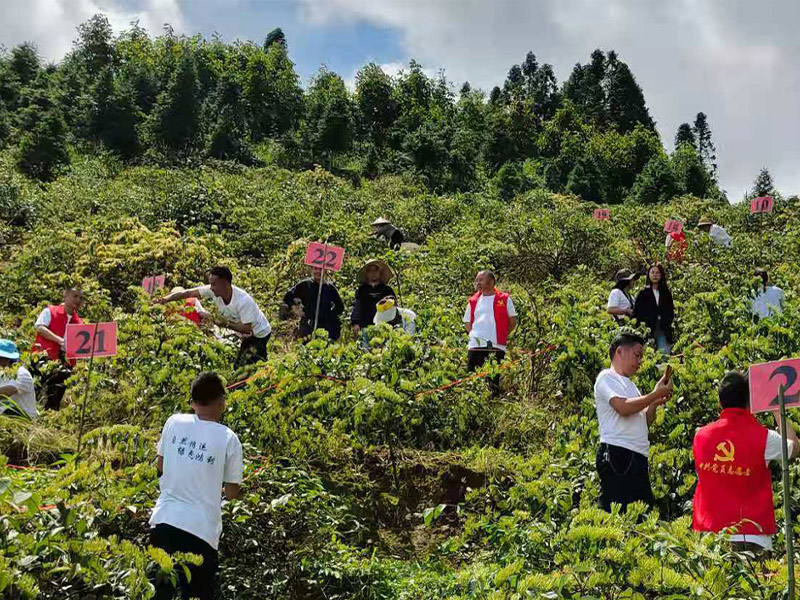 基地环境